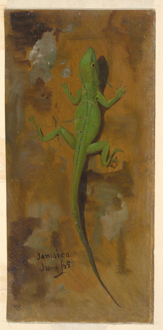 Dibujo, un lagarto, junio de 1865 de Frederic Edwin Church