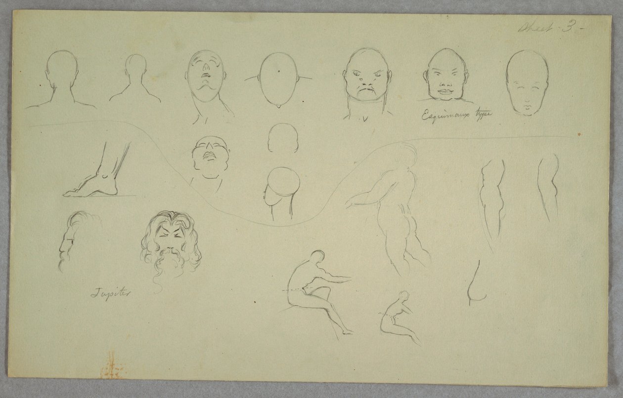 Dibujo, Estudios anatómicos, 1865-70 de Frederic Edwin Church