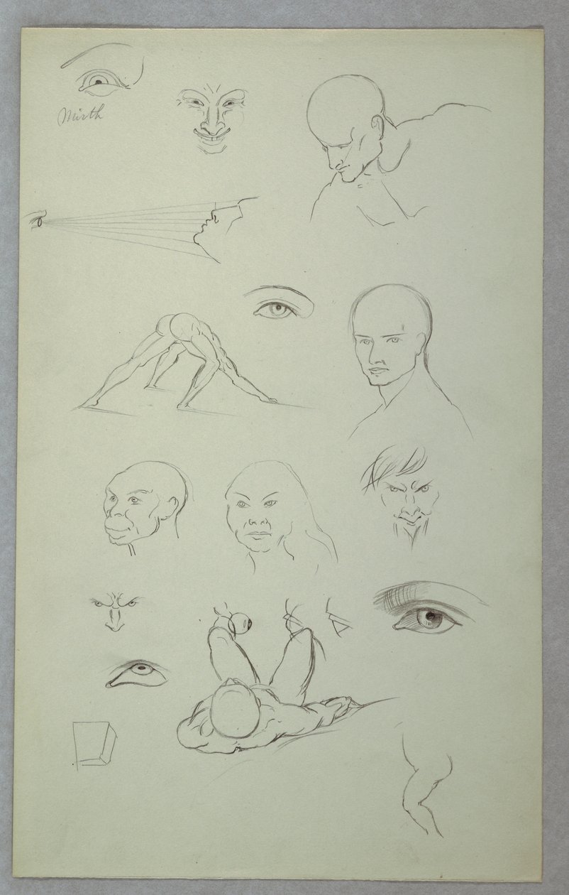 Dibujo, Estudios anatómicos, 1865-70 de Frederic Edwin Church