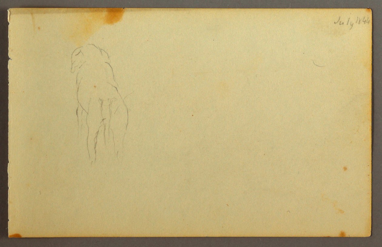 Dibujo, Animal, de espaldas, 1844 de Frederic Edwin Church