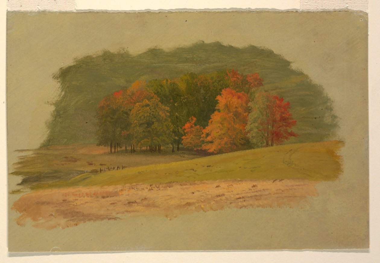 Dibujo, Paisaje de otoño, 1860-70 de Frederic Edwin Church