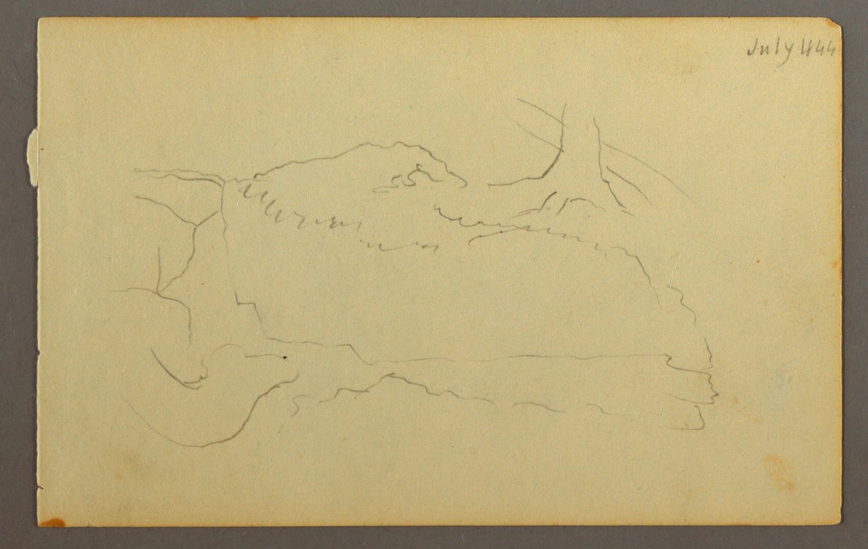 Dibujo, Base de un árbol, cantos rodados, 1844 de Frederic Edwin Church