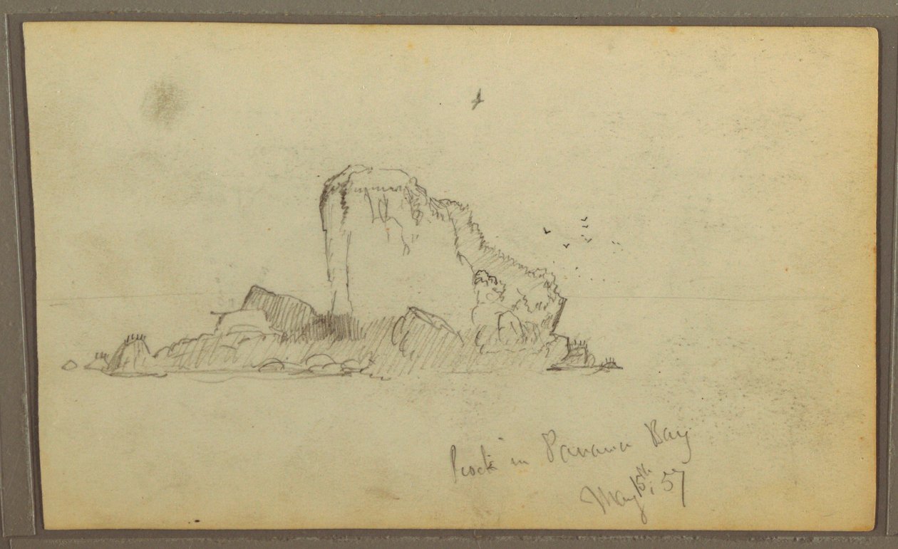 Dibujo, Bireds, "Rock in Panama Bay"; Verso: "Heavy Vines", 15 de mayo de 1857 de Frederic Edwin Church