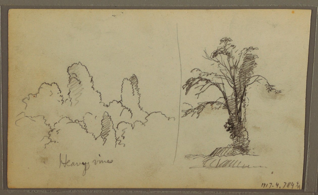 Dibujo, Bireds, "Rock in Panama Bay"; Verso: "Heavy Vines", 15 de mayo de 1857 de Frederic Edwin Church