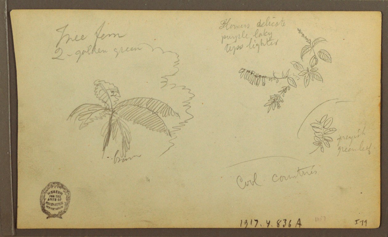 Dibujo, Bocetos botánicos; Verso: Bocetos botánicos, 1857 de Frederic Edwin Church
