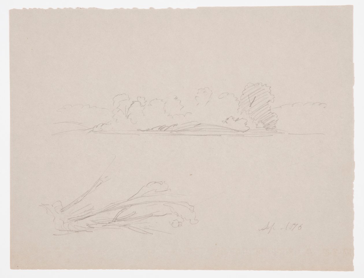 Dibujo, Bocetos botánicos: paisaje, árboles en una orilla, septiembre de 1876 de Frederic Edwin Church