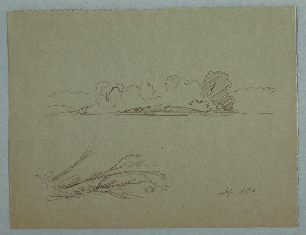 Dibujo, Bocetos botánicos: paisaje, árboles en una orilla, septiembre de 1876 de Frederic Edwin Church