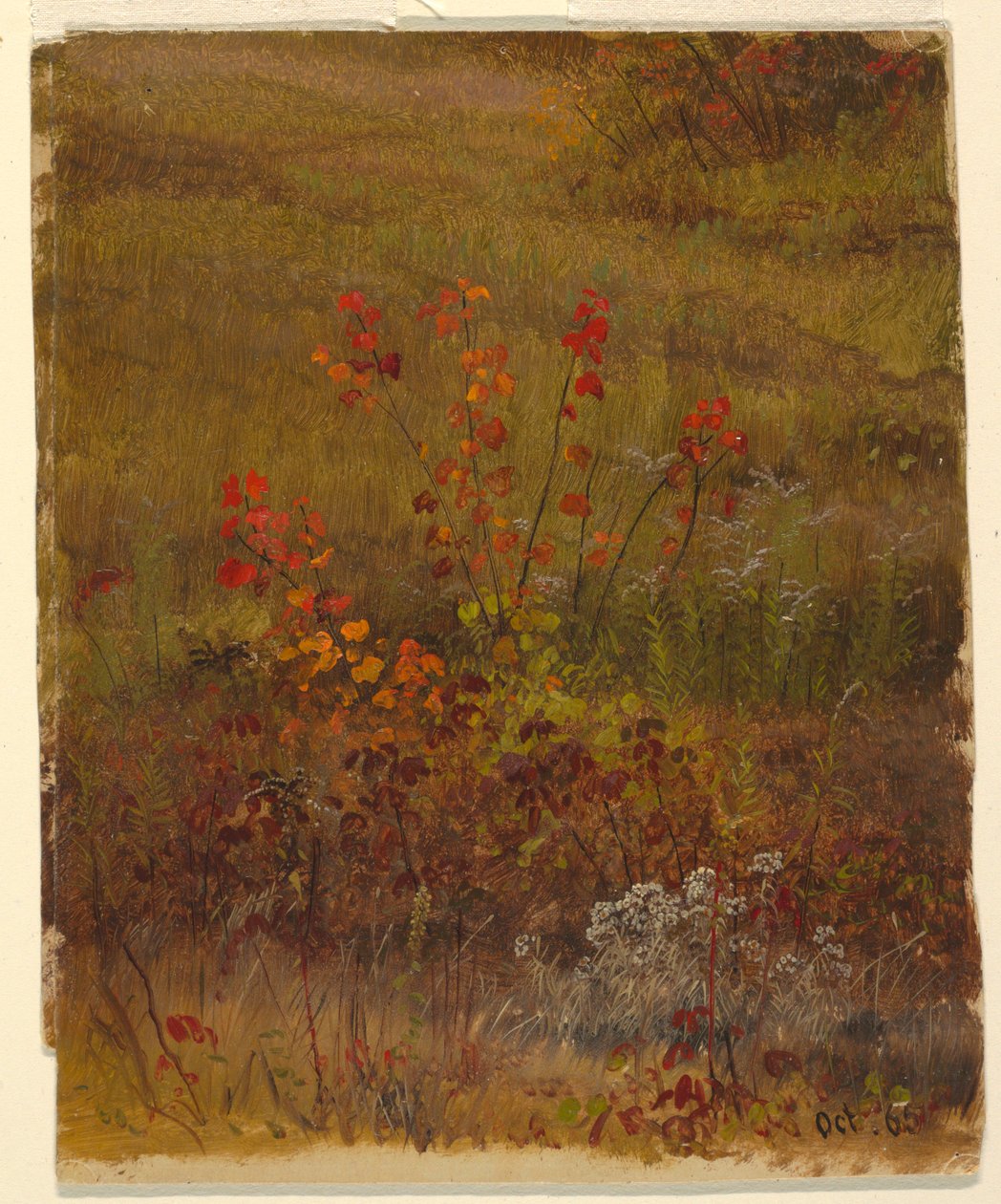 Dibujo, Estudios botánicos, octubre de 1865 de Frederic Edwin Church