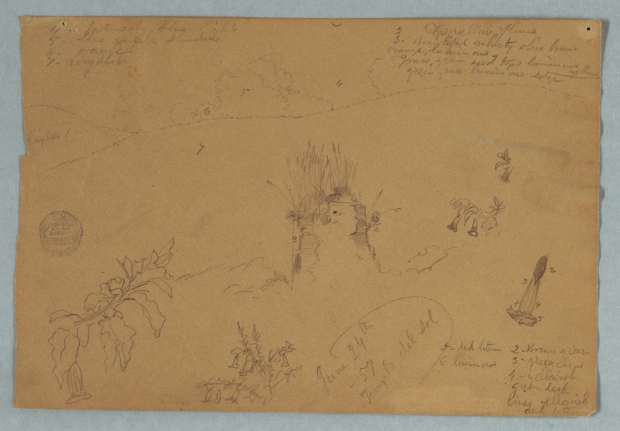 Dibujo. Bocetos botánicos y de nubes cerca de Quito, Ecuador de Frederic Edwin Church