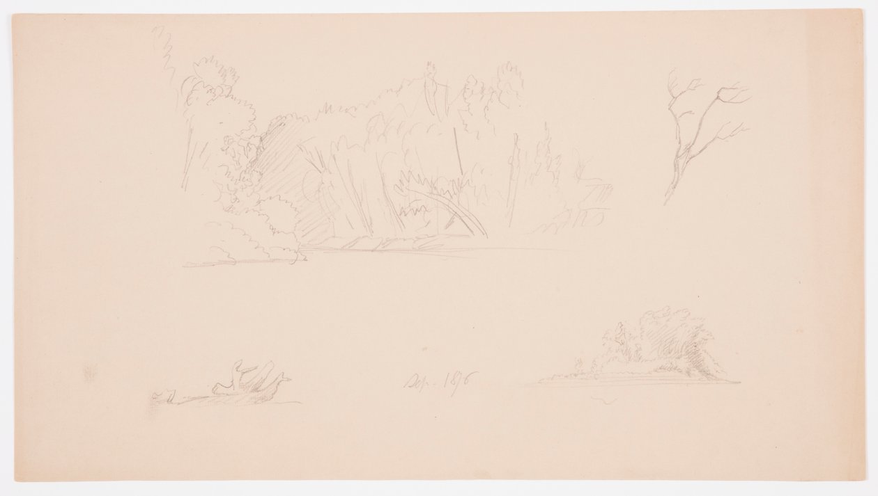 Dibujo, Bocetos botánicos: árbol, árboles en la orilla, septiembre de 1876 de Frederic Edwin Church