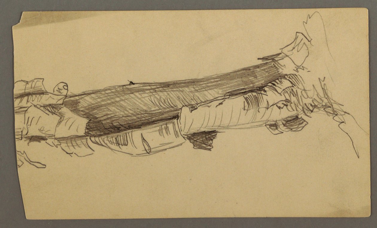 Dibujo, Sección inferior de un tronco de árbol muerto, 1877 de Frederic Edwin Church