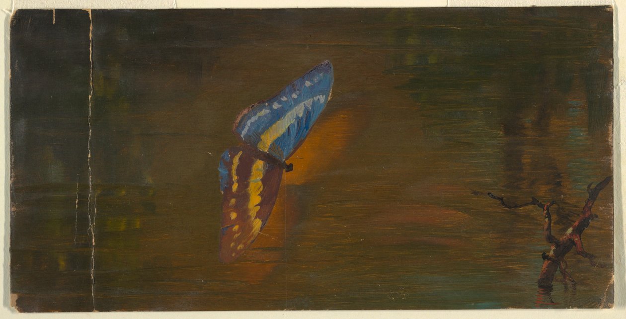 Dibujo, Mariposa sobre el agua, ca. 1865 de Frederic Edwin Church