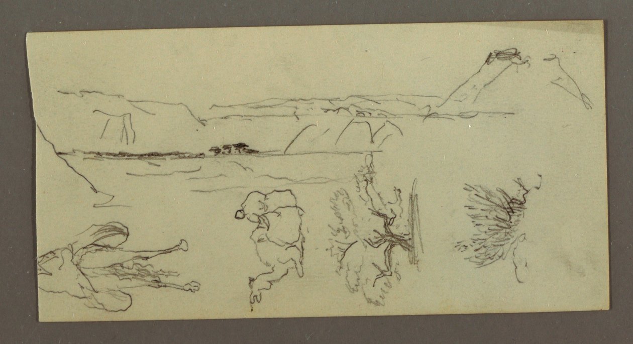 Dibujo, Stuides de camello, arbusto y valle, posiblemente 1868 de Frederic Edwin Church