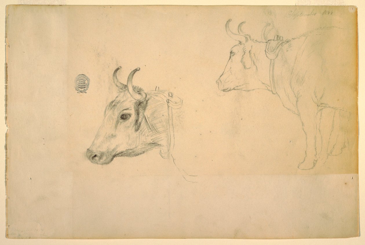 Dibujo, Ganado, septiembre de 1844 de Frederic Edwin Church