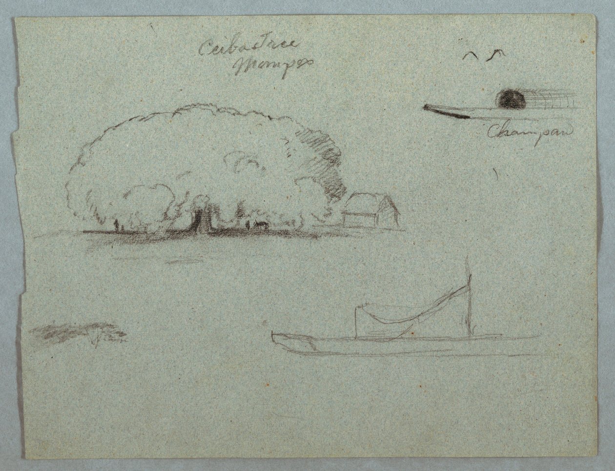 Dibujo, Árbol de Ceiba en Mompos, Canoa Champan, Árboles, y un Barco Parcial, Río Magdalena, Colombia, 1853, probablemente Mayo de Frederic Edwin Church