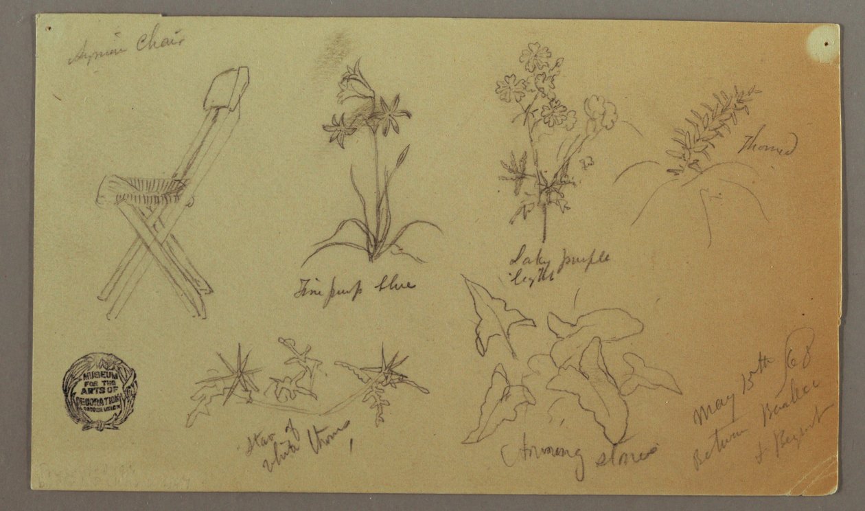 Dibujo, Estudios sobre sillas y plantas, 15 de mayo de 1868 de Frederic Edwin Church