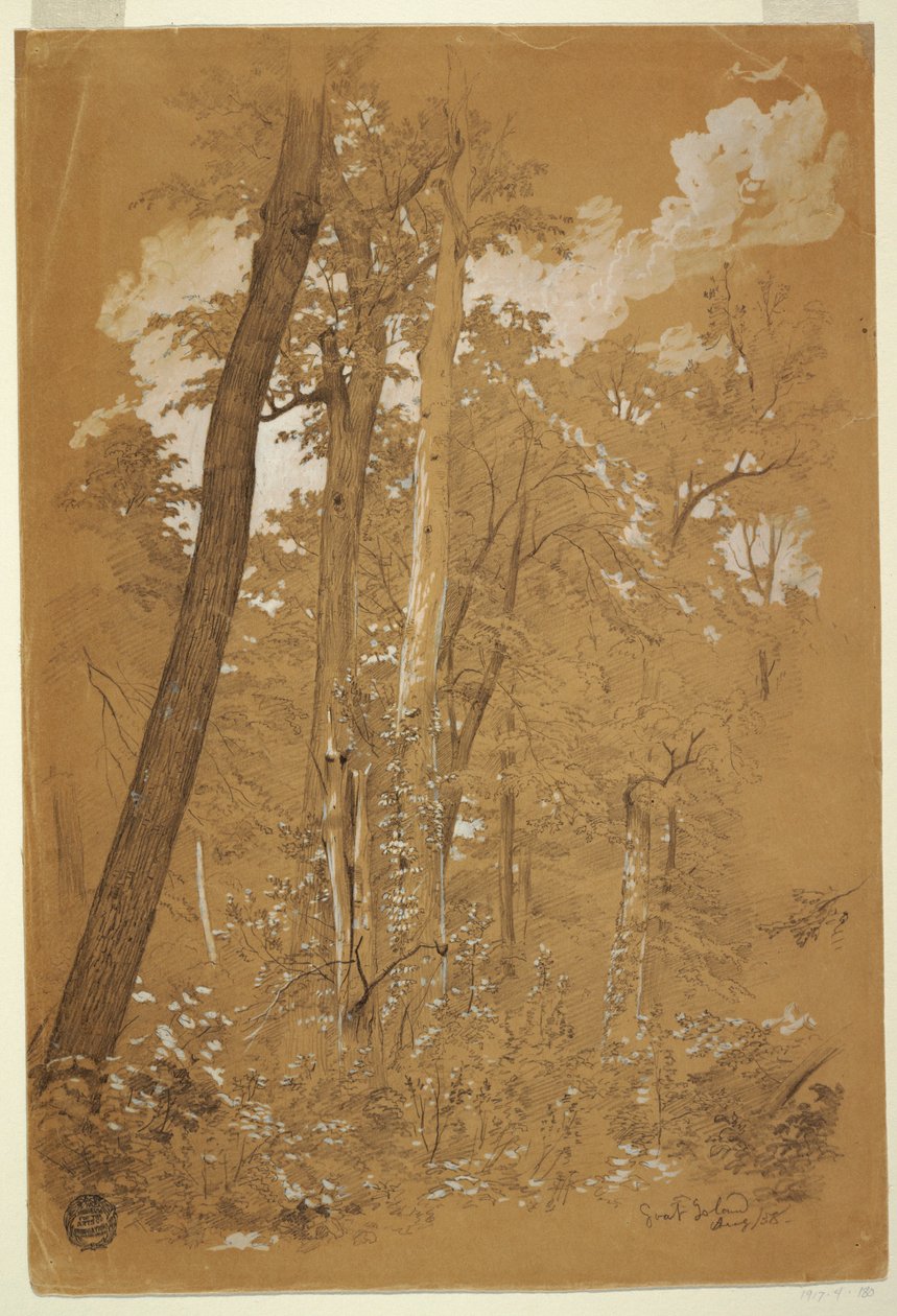 Castaños en Goat Island, río Niágara, Nueva York, agosto de 1858 de Frederic Edwin Church