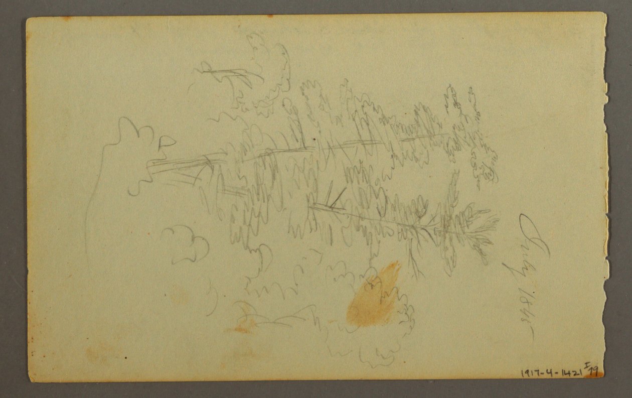 Dibujo, Estudio de nubes, 1845 de Frederic Edwin Church