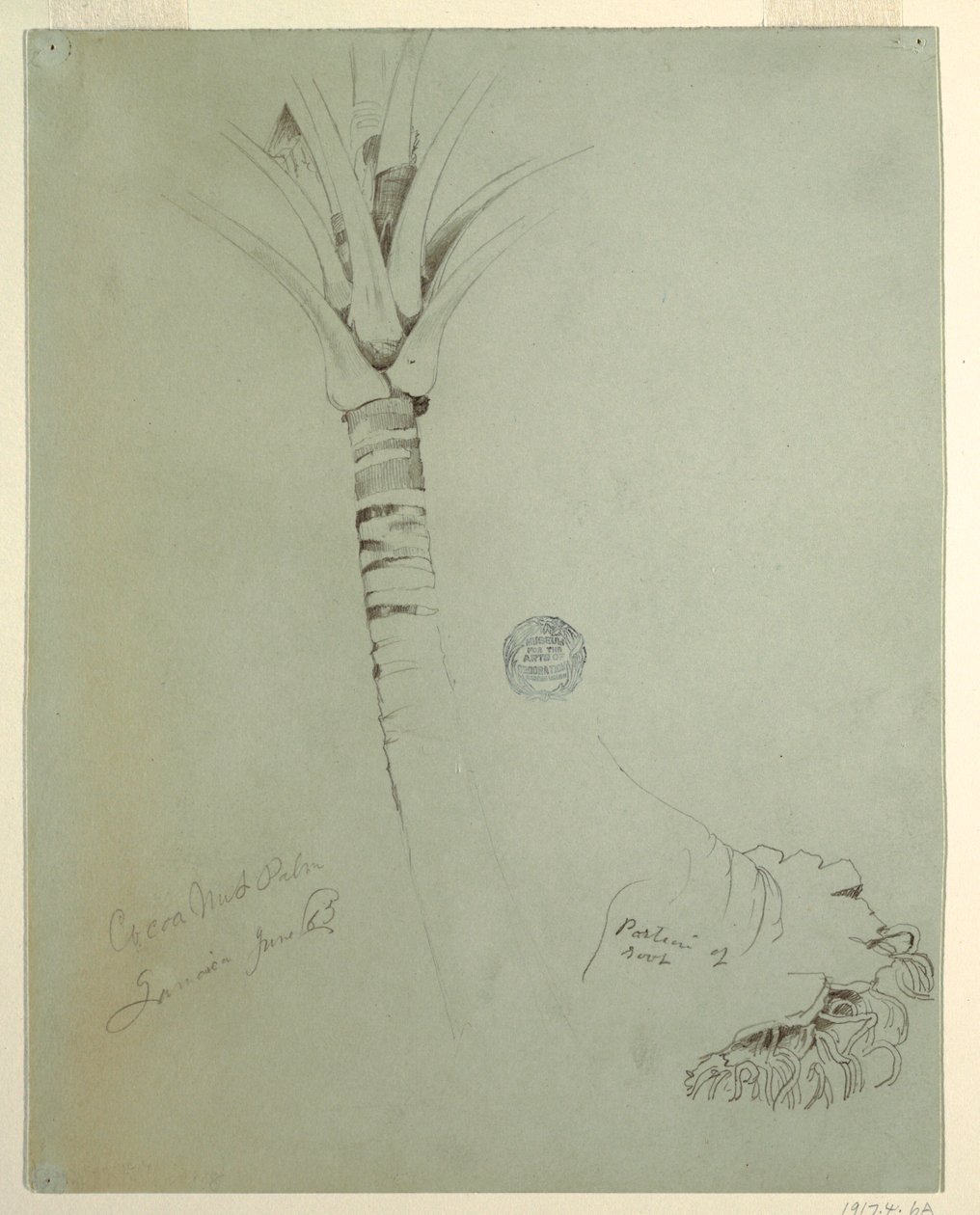 Dibujo, Cocotero, Jamaica, junio de 1865 de Frederic Edwin Church