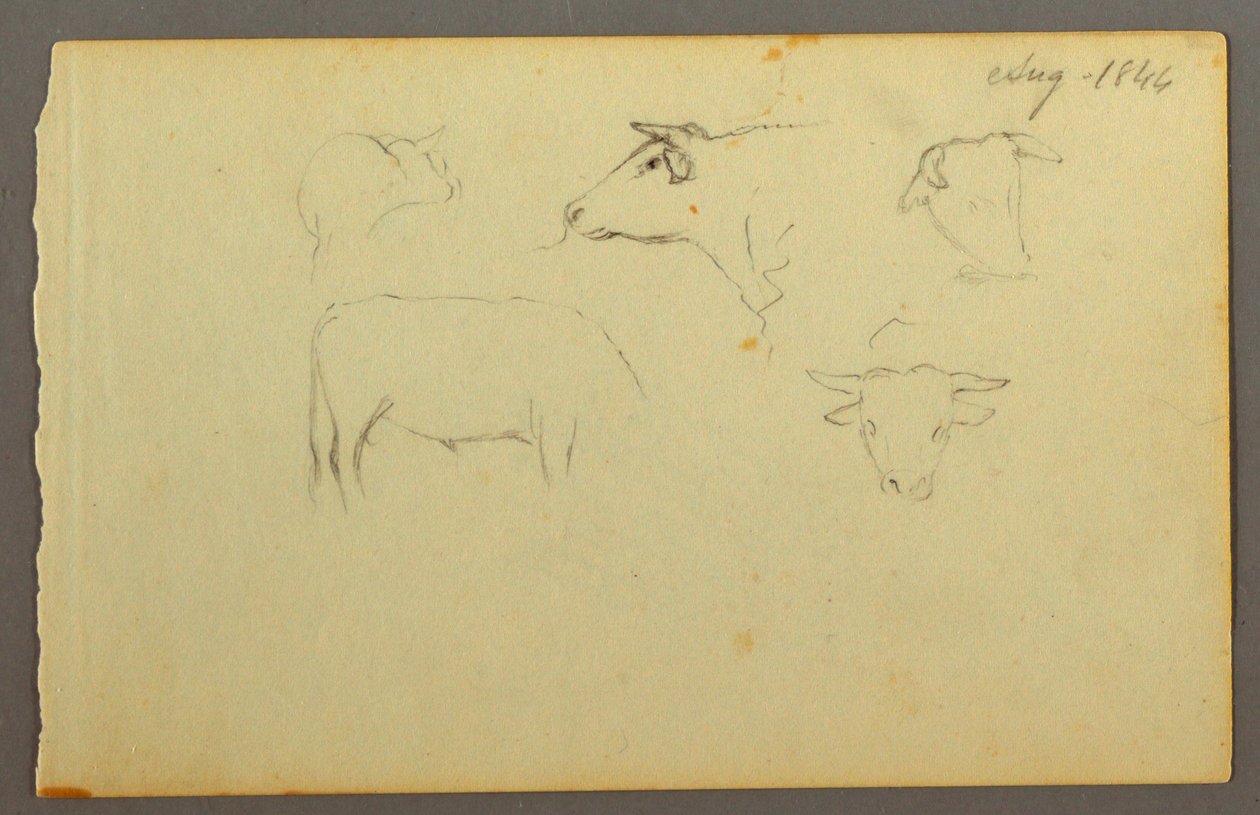 Dibujo, Vacas, 1844 de Frederic Edwin Church