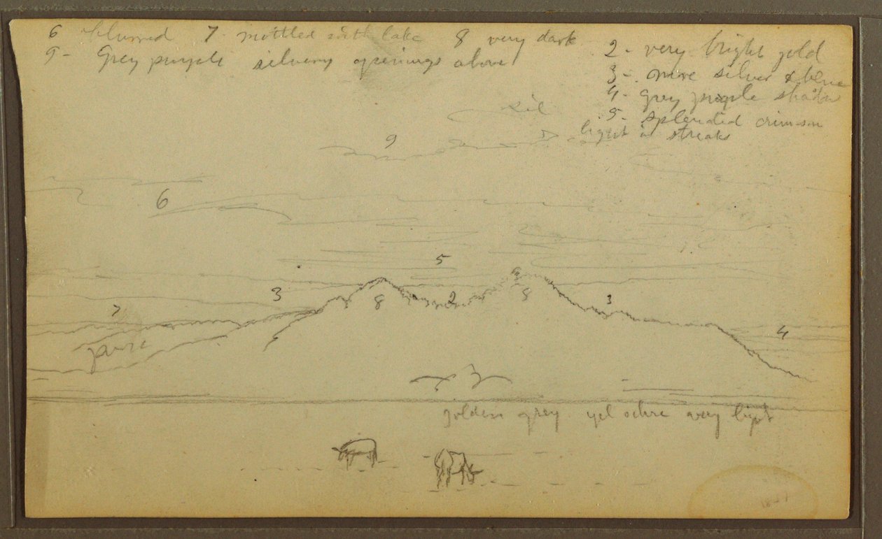 Dibujo, Vacas en un paisaje; reverso: Bambú, 1857 de Frederic Edwin Church