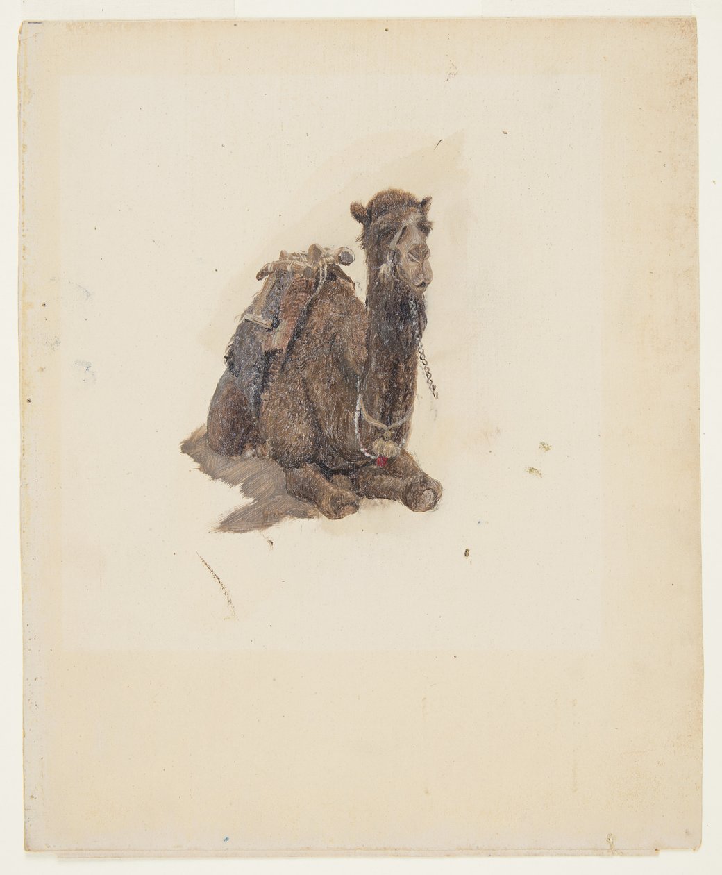 Dibujo, Dromedario agazapado, 1868 de Frederic Edwin Church