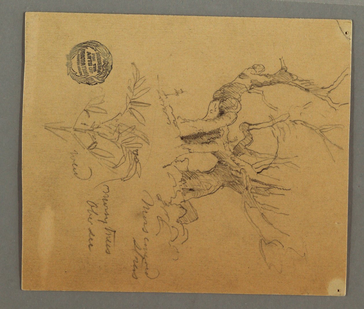 Dibujo, Árboles muertos, Planta, posiblemente 1868 de Frederic Edwin Church