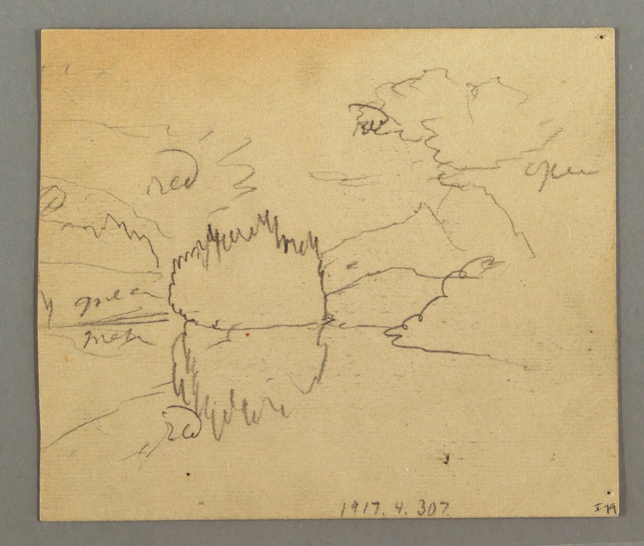 Dibujo, Árboles muertos, Planta, posiblemente 1868 de Frederic Edwin Church