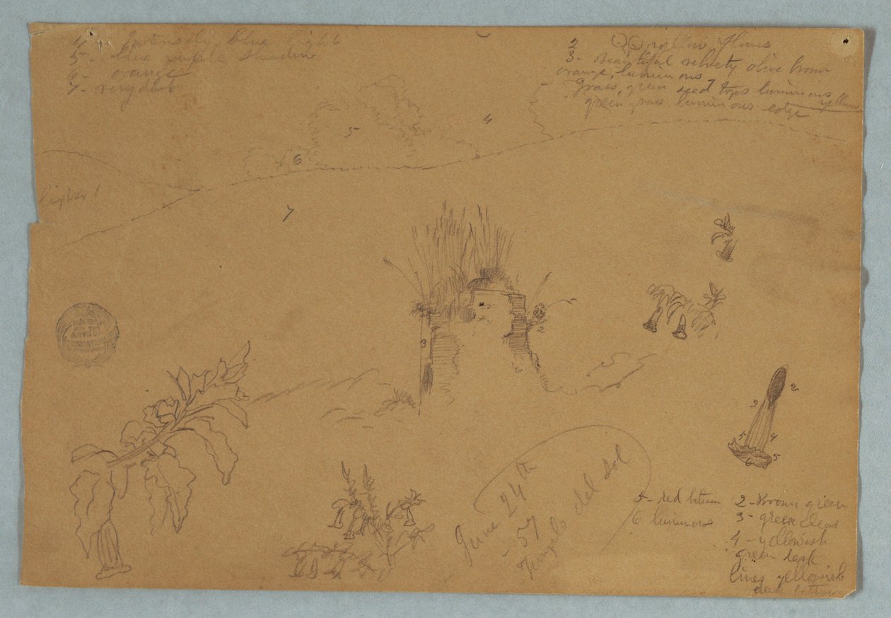 Dibujo, Dibujo.  Bocetos botánicos y de nubes cerca de Quito, Ecuador, 24 de junio de 1857 de Frederic Edwin Church