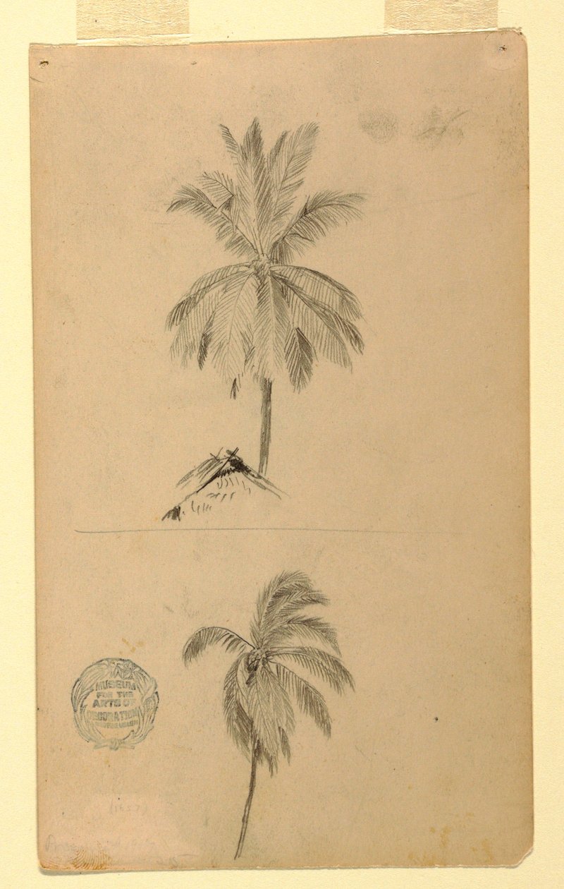 Dibujo, Dibujos.  Dos bocetos.  Palmeras., 1857 de Frederic Edwin Church