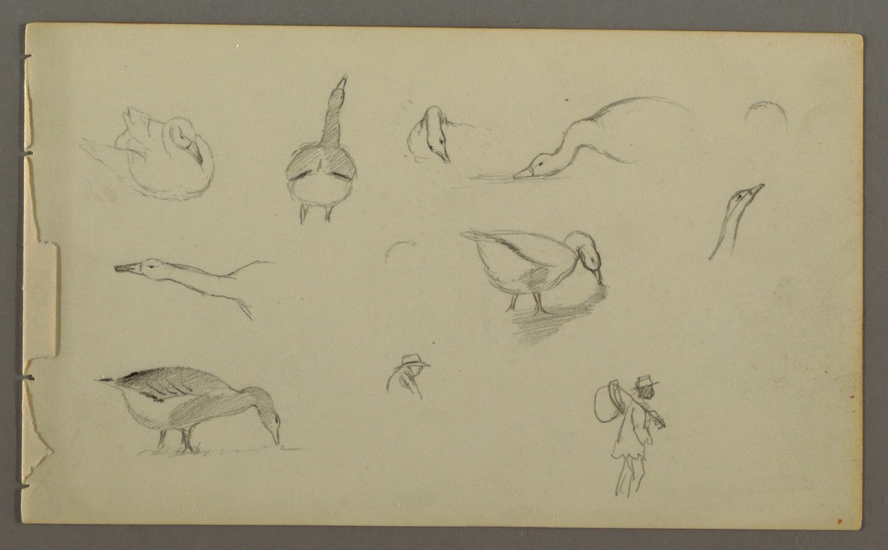 Dibujo, Ocho estudios de patos, dos stuidos de figuras, posiblemente 1857-58 de Frederic Edwin Church