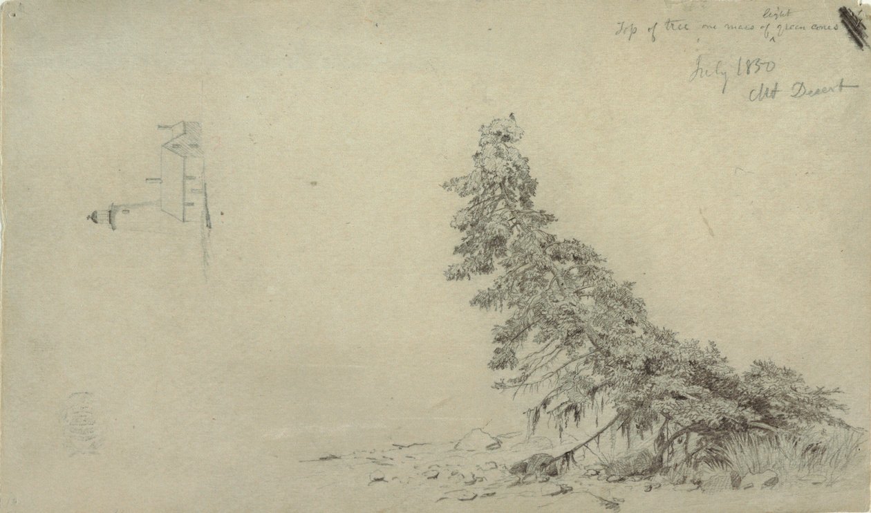 Dibujo, Árbol de hoja perenne cerca de la orilla con un detalle del faro y una casa, Mount Desert, Maine, julio de 1850 de Frederic Edwin Church