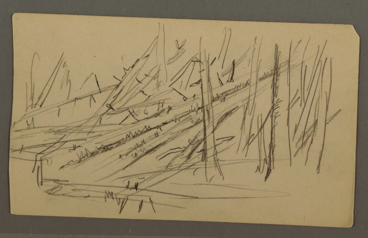 Dibujo, Árboles caídos, posiblemente 1877 de Frederic Edwin Church