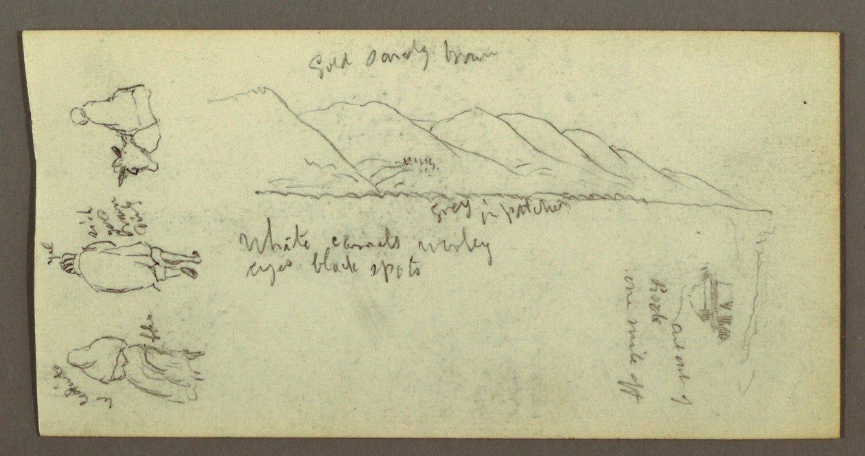 Dibujo, Estudio de figura, Cordillera, posiblemente 1868 de Frederic Edwin Church