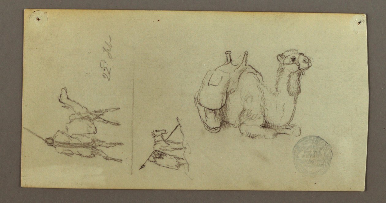 Dibujo, Figura y estudios sobre camellos, 22 de febrero de 1868 de Frederic Edwin Church
