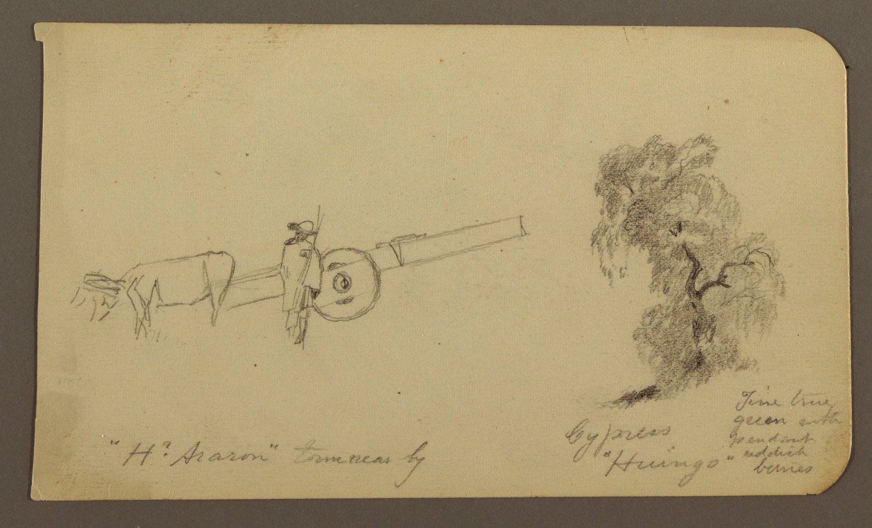 Dibujo, Figura y carro de bueyes, Ciprés; reverso: Vista del lago de Cuitzeo, enero de 1885 de Frederic Edwin Church