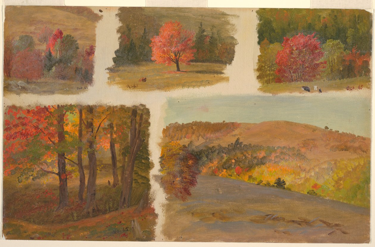 Dibujo, Cinco estudios de paisaje otoñal, posiblemente Vermont, octubre de 1865 de Frederic Edwin Church