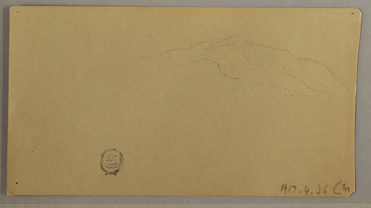 Dibujo, Plantas en flor, ca. 1856 de Frederic Edwin Church