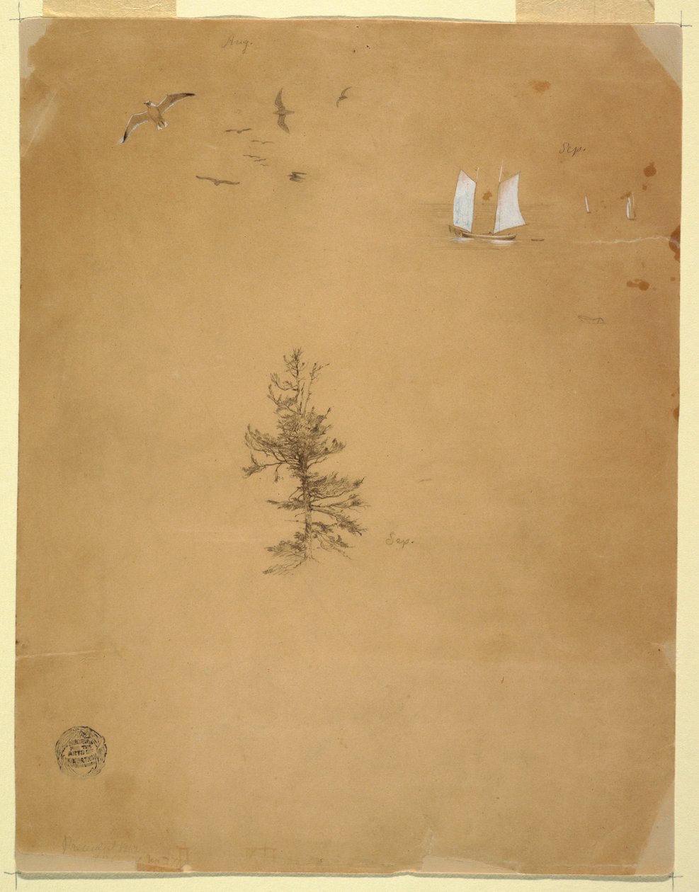 Dibujo, Gaviotas, Veleros, Árbol, agosto y septiembre de 1859 de Frederic Edwin Church