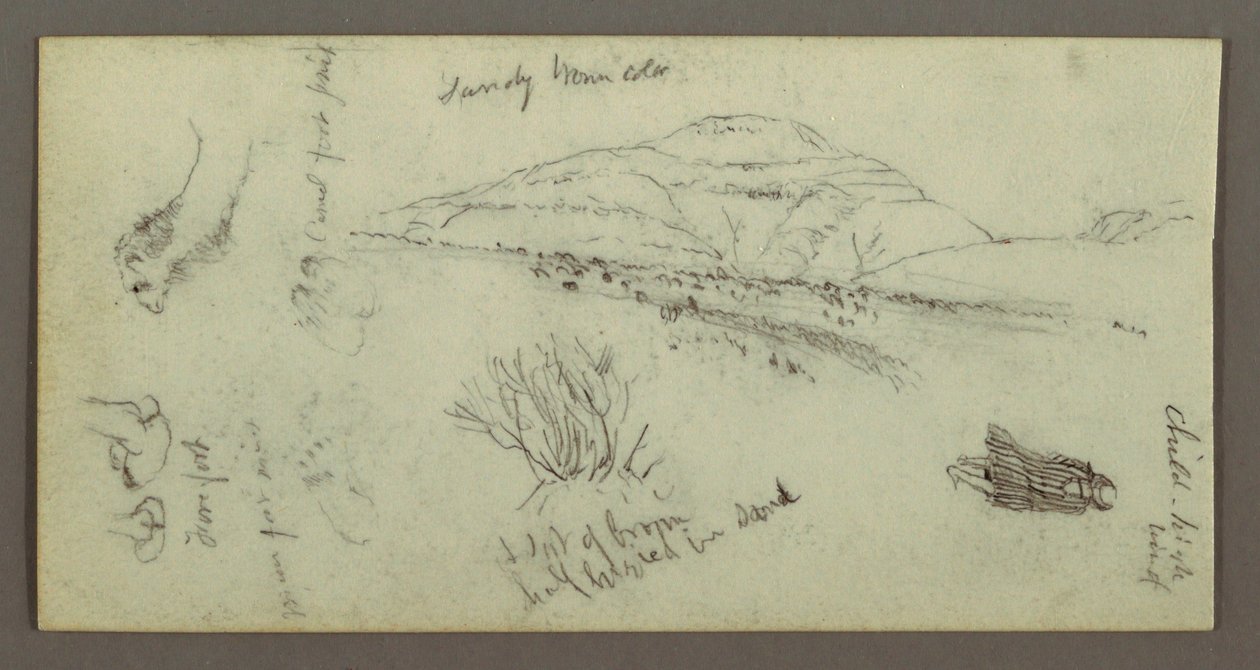 Dibujo, Colina, Arbustos, Figura, Estudios sobre camellos, posiblemente 1868 de Frederic Edwin Church
