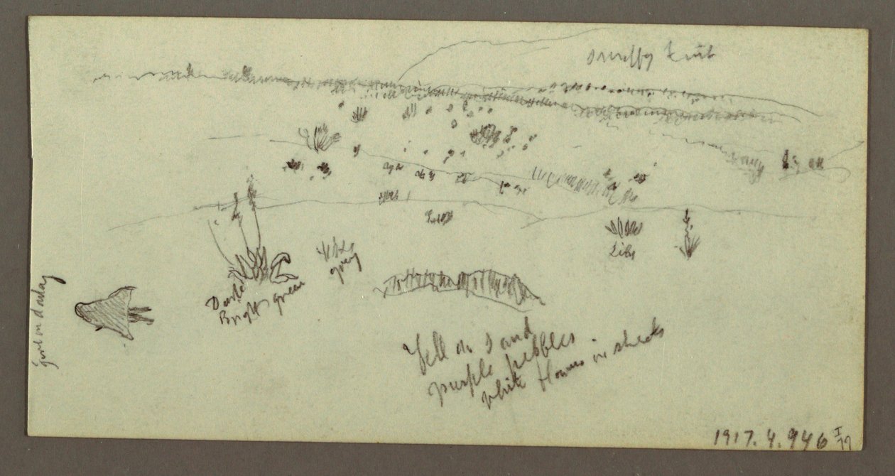 Dibujo, Colina, Arbustos, Figura, Estudios sobre camellos, posiblemente 1868 de Frederic Edwin Church