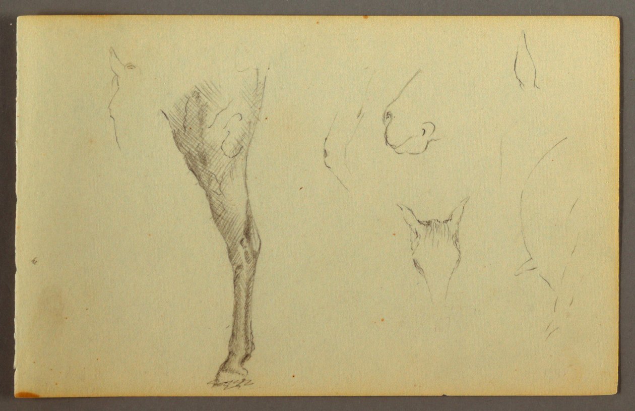 Dibujo, Estudios sobre caballos, posiblemente 1844 de Frederic Edwin Church