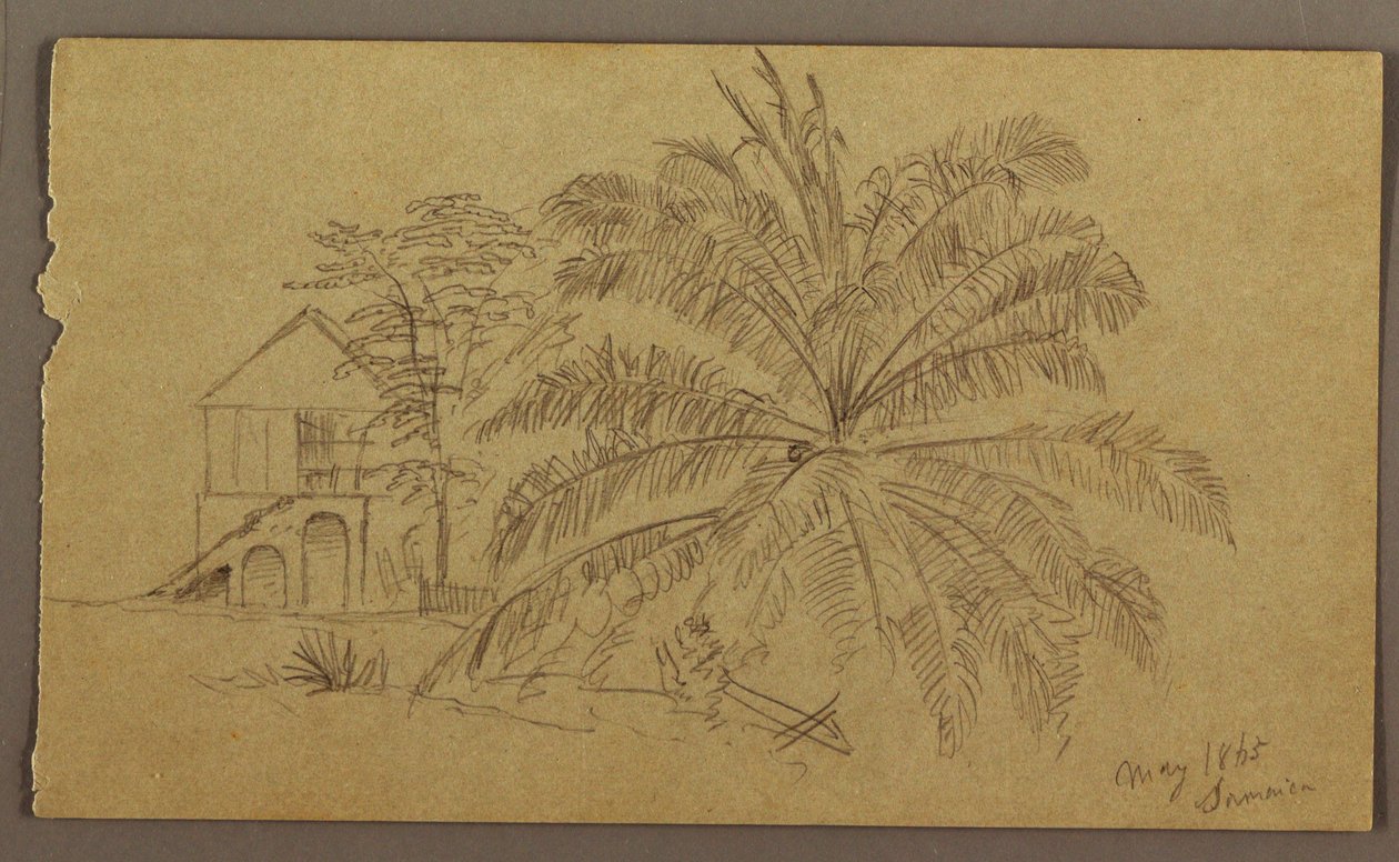 Dibujo, Casa y helecho, mayo de 1865 de Frederic Edwin Church