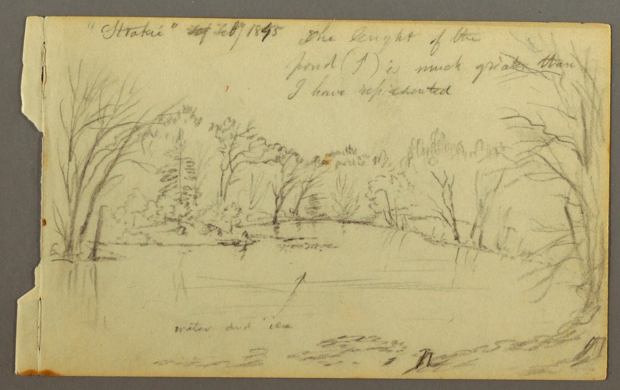 Dibujo, Htakie () Estanque bordeado de árboles, 1845 de Frederic Edwin Church