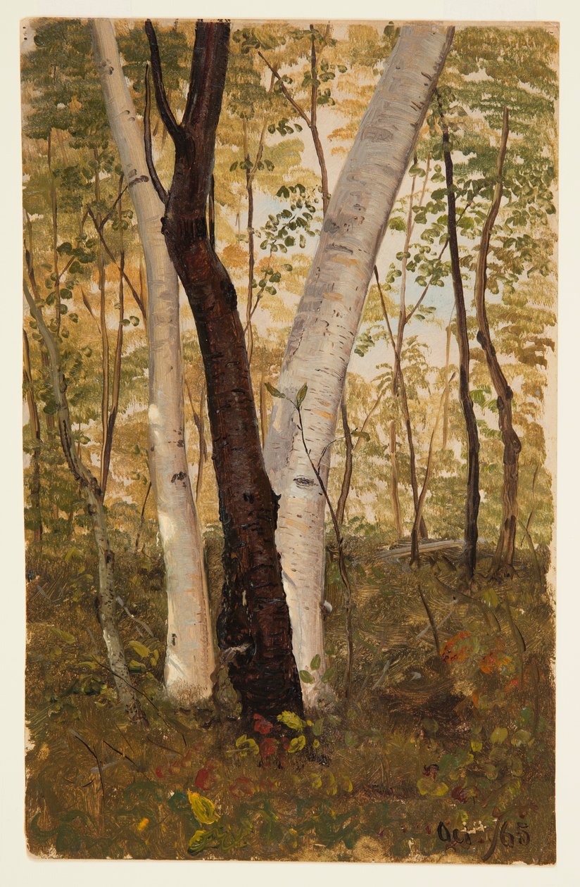 Dibujo, En el bosque, Hudson, Nueva York, octubre de 1865 de Frederic Edwin Church