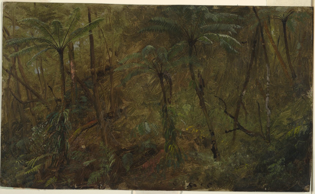 Dibujo, En los bosques de Jamacia, Antillas, 1865 de Frederic Edwin Church