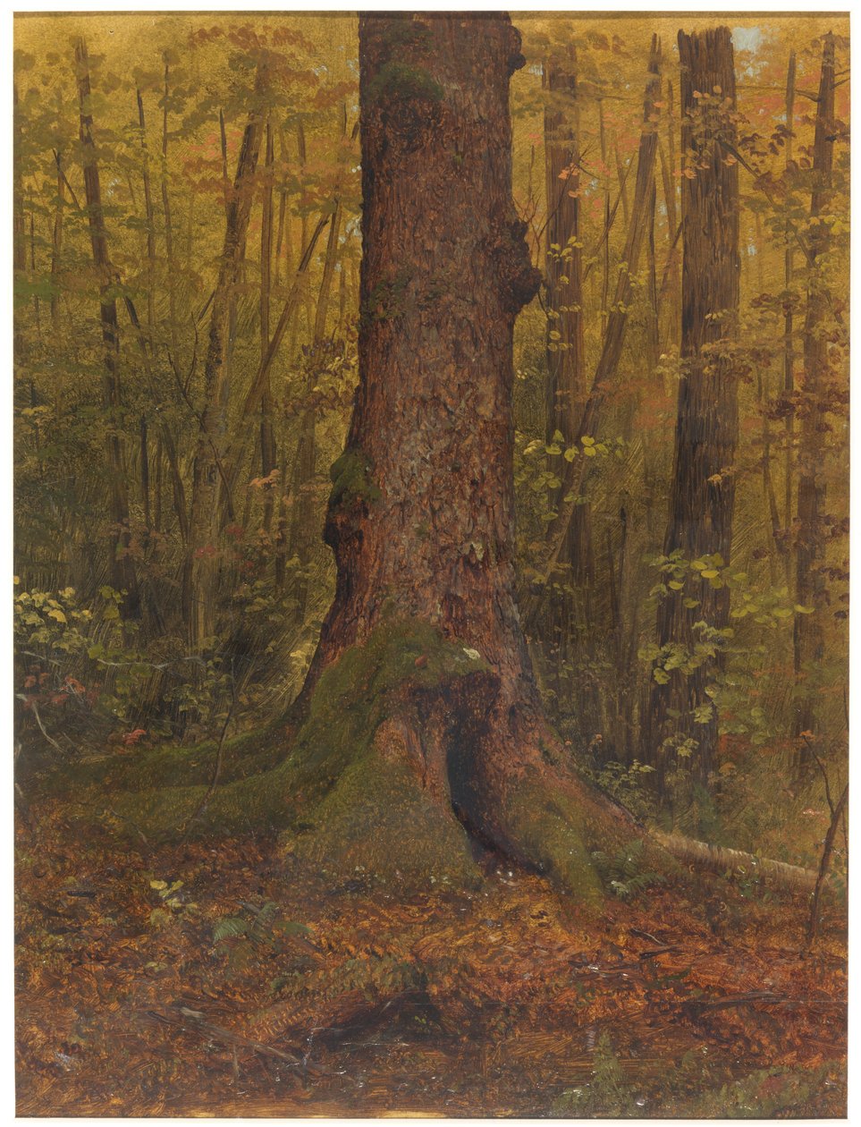 Dibujo, En el bosque, probablemente Maine, 1850-60 de Frederic Edwin Church