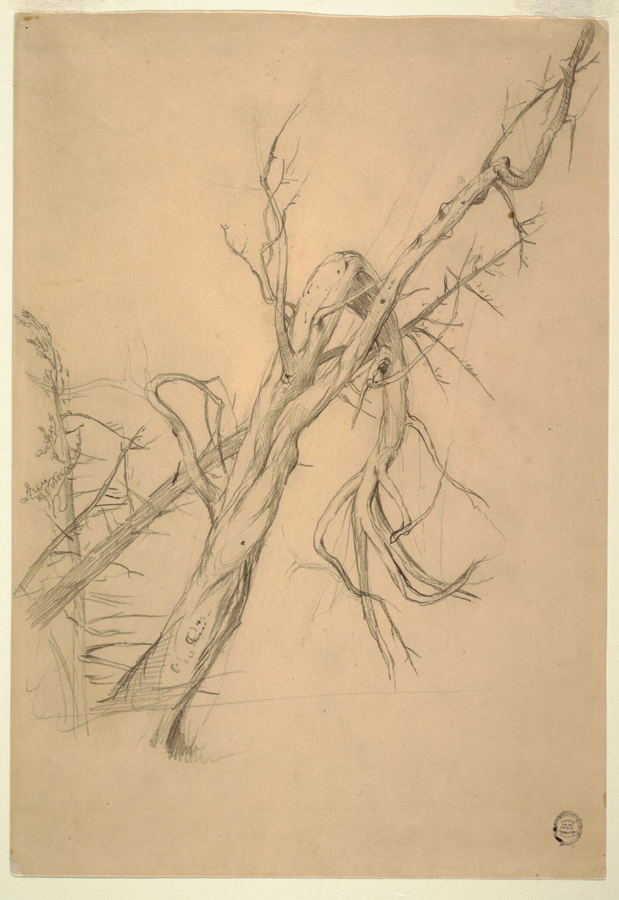Dibujo, campamento indio, Grand Manan, Bahía de Fundy, septiembre de 1851 de Frederic Edwin Church
