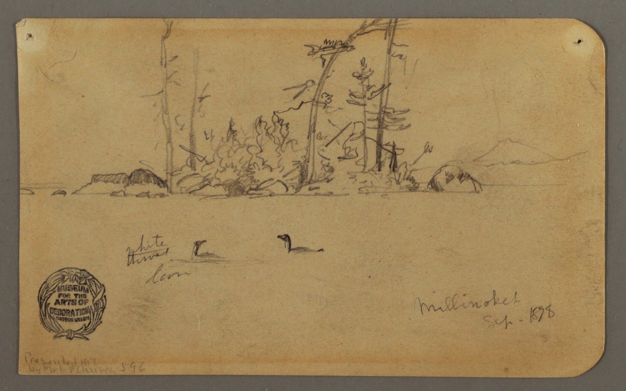 Dibujo, Isla, Dos colimbos, 1878 de Frederic Edwin Church
