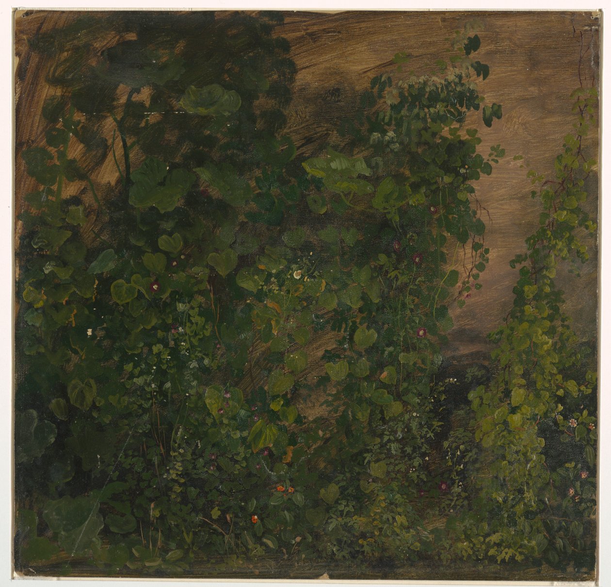 Vegetación de la jungla, 1865 de Frederic Edwin Church
